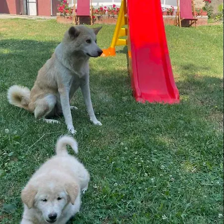 Petlov Appartamento Mala Remeta