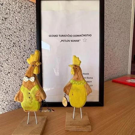 Appartamento Petlov *