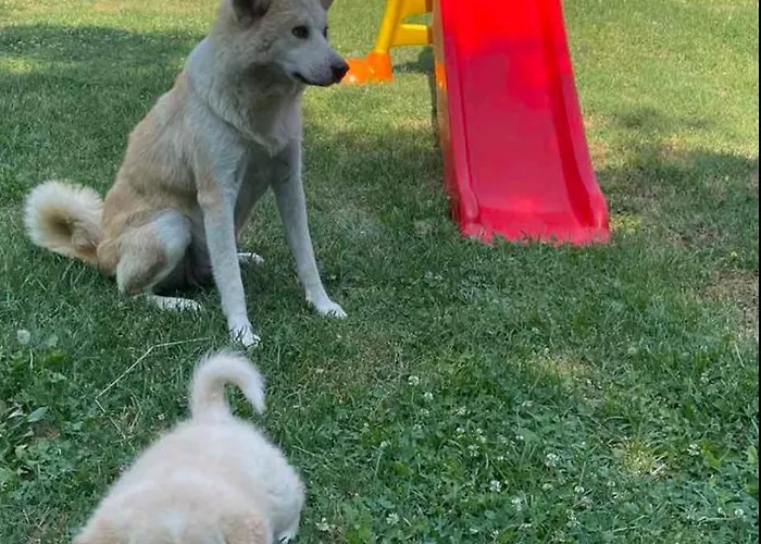 Petlov Apartamento Mala Remeta